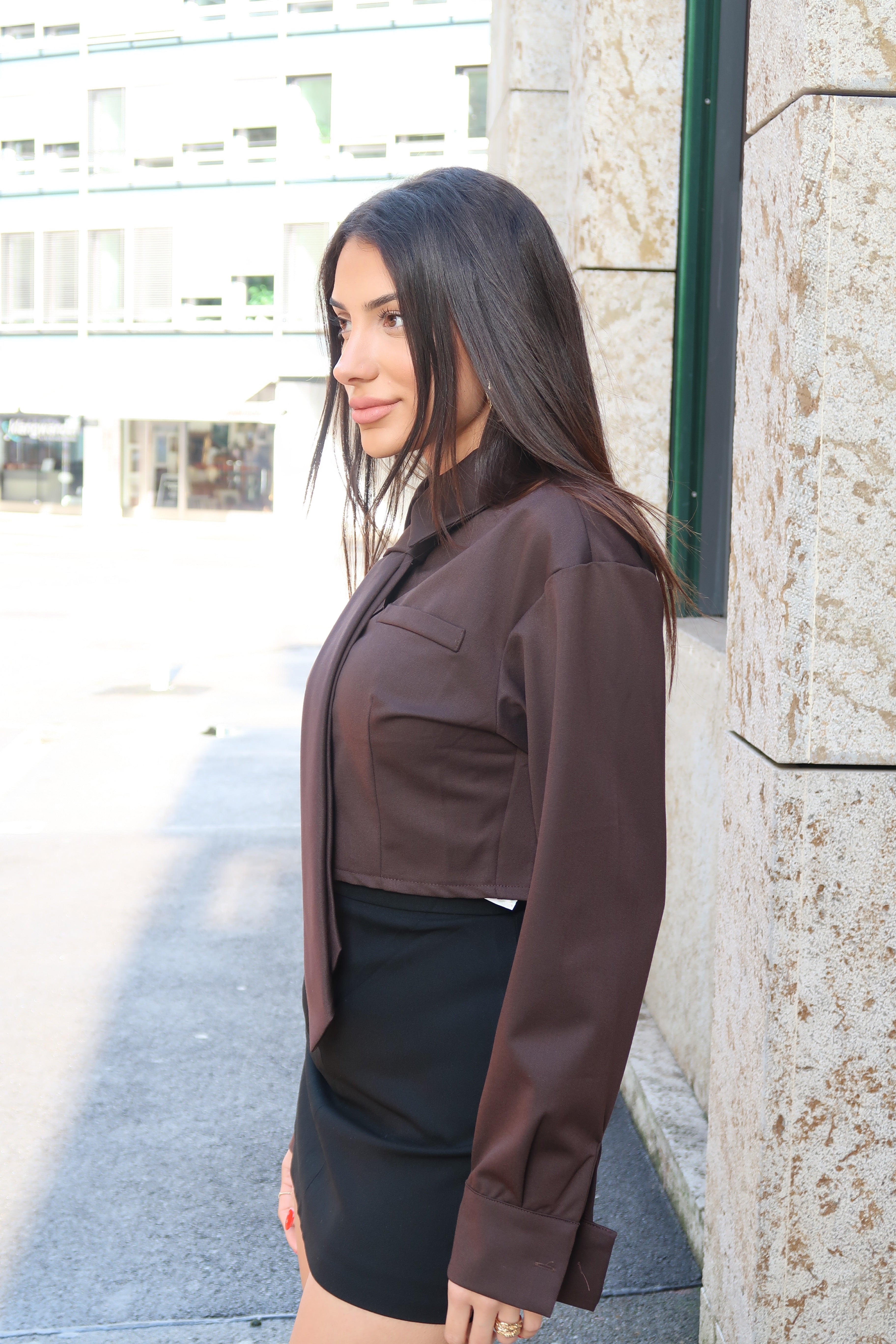 Mr Mister Shirt Brown